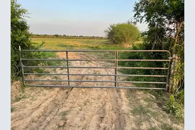 0 Orange Hill Road, Sealy, TX 77474 - Photo 3