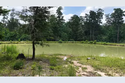 856 State Highway 150, New Waverly, TX 77358 - Photo 11