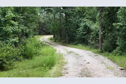 856 State Highway 150, New Waverly, TX 77358 - Photo 7