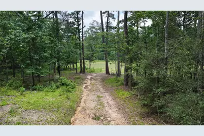 856 State Highway 150, New Waverly, TX 77358 - Photo 9
