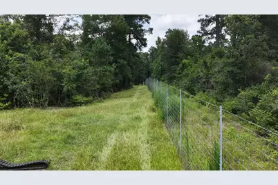 856 State Highway 150, New Waverly, TX 77358 - Photo 17