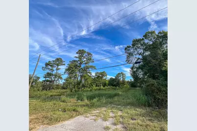00 State Highway 150, New Waverly, TX 77358 - Photo 3