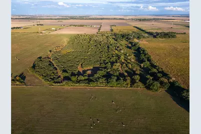 0 County Road 325, Louise, TX 77455 - Photo 13