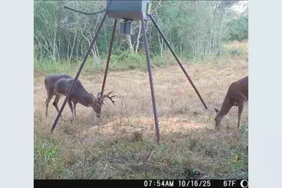 0 County Road 325, Louise, TX 77455 - Photo 15