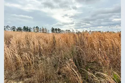 000 Hardin Hideout Rd, Moscow, TX 75960 - Photo 9