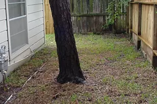 10826 Sugar Hill Dr, Houston, TX 77042 - Photo 5