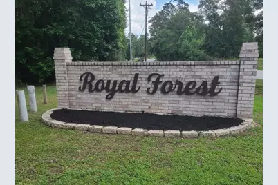 10731 Royal Terrell Drive, Conroe, TX 77303 - Photo 29