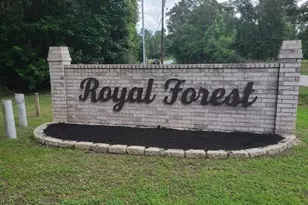 10731 Royal Terrell Dr, Conroe, TX 77303 - Photo 29