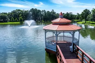 13203 Yaupon Holly Ln, Houston, TX 77044 - Photo 41