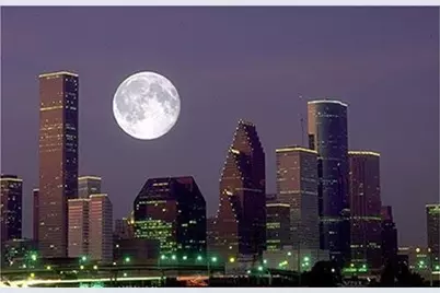 4609 University Oaks Boulevard, Houston, TX 77004 - Photo 49