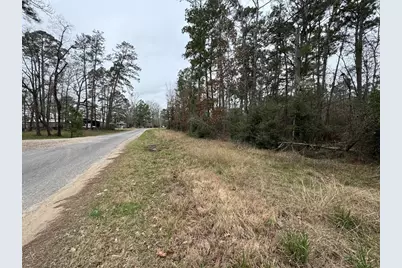 Tbd County, Goodrich, TX 77335 - Photo 3