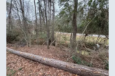 Tbd County, Goodrich, TX 77335 - Photo 7