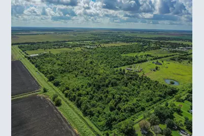 Tr 8 Fm 1462, Rosharon, TX 77583 - Photo 9