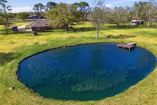 4215 County Rd 182, Alvin, TX 77511 - Photo 49