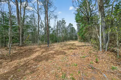 525 County Road 3016, Dayton, TX 77535 - Photo 19