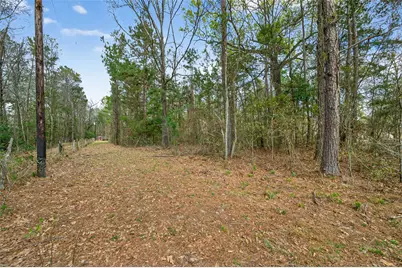 525 County Road 3016, Dayton, TX 77535 - Photo 17