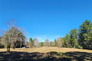 0 Bailey Grove Rd, Montgomery, TX 77356 - Photo 9