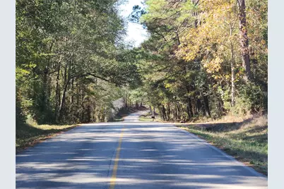 0 Bailey Grove Road, Montgomery, TX 77356 - Photo 7