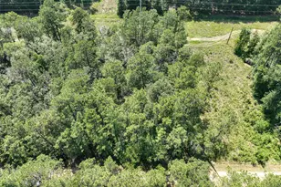 000 Fairway Dr, New Caney, TX 77357 - Photo 1