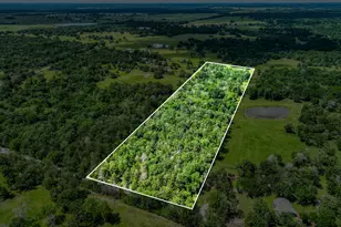 Tbd County Road 132, Bedias, TX 77831 - Photo 1