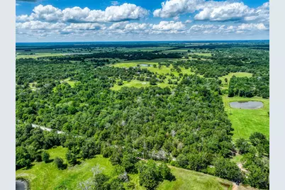 Tbd County Road 132, Bedias, TX 77831 - Photo 7