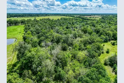 Tbd County Road 132, Bedias, TX 77831 - Photo 11