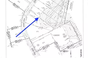 10891 Ruger Rd, Willis, TX 77378 - Photo 3