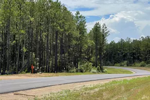 10891 Ruger Rd, Willis, TX 77378 - Photo 7