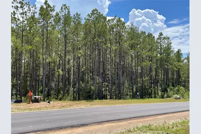 10891 Ruger Road, Willis, TX 77378 - Photo 9