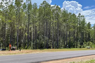 10891 Ruger Rd, Willis, TX 77378 - Photo 9