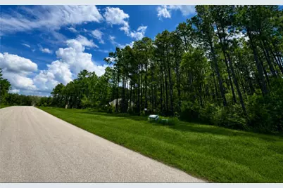 10891 Ruger Road, Willis, TX 77378 - Photo 3