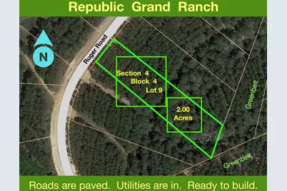 10891 Ruger Road, Willis, TX 77378 - Photo 5