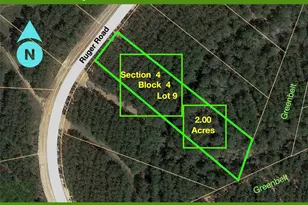 10891 Ruger Rd, Willis, TX 77378 - Photo 5