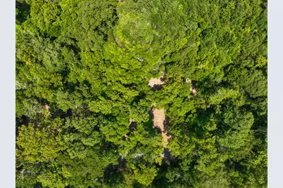 S1L2 Lake Pool Rd, Shepherd, TX 77371 - Photo 7