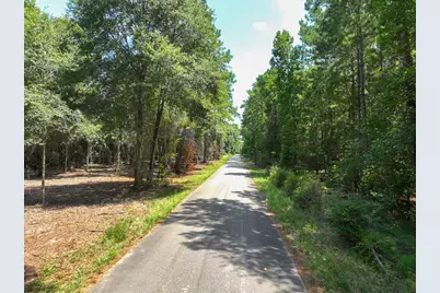 S1L2 Lake Pool Rd, Shepherd, TX 77371 - Photo 9