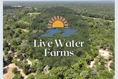 S1L2 Lake Pool Rd, Shepherd, TX 77371 - Photo 1