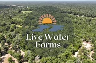 2 Lake Pool Rd, Shepherd, TX 77371 - Photo 1