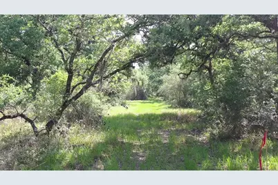 00 Private Road 1581 Road, Hallettsville, TX 77964 - Photo 5