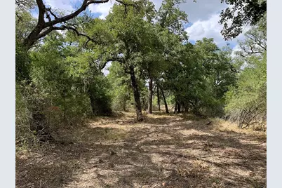 00 Private Road 1581 Road, Hallettsville, TX 77964 - Photo 15