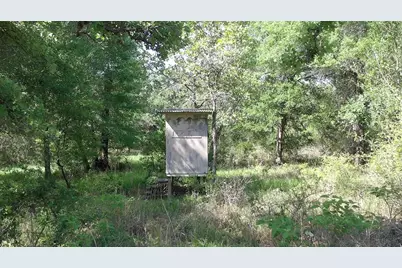 00 Private Road 1581 Road, Hallettsville, TX 77964 - Photo 13