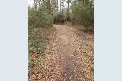 20392 Meadow Lake Road, Cleveland, TX 77328 - Photo 3