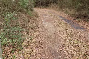 20392 Meadow Lake Rd, Cleveland, TX 77328 - Photo 3