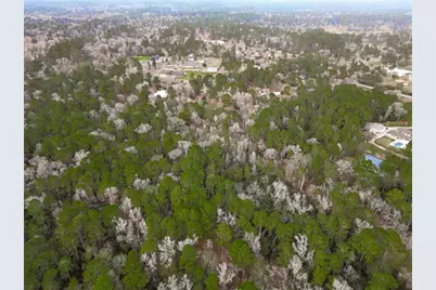 0 Colette St Street, Magnolia, TX 77355 - Photo 9