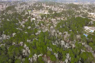 0 Colette St St, Magnolia, TX 77355 - Photo 9