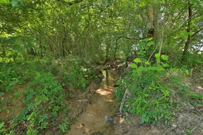 Tract #10 Cr 305 Road, Navasota, TX 77868 - Photo 11