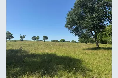 Tract #10 Cr 305 Road, Navasota, TX 77868 - Photo 25