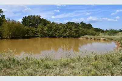 190 Private Road 408, Buffalo, TX 75831 - Photo 35