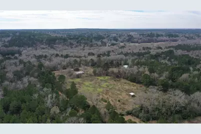 Tbdlot 2 County Road 2240, Grapeland, TX 75844 - Photo 5