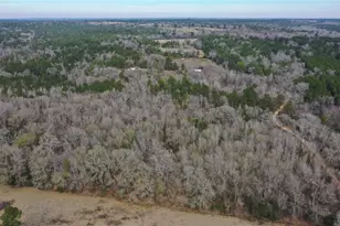 Tbdlot 2 County Road 2240, Grapeland, TX 75844 - Photo 1