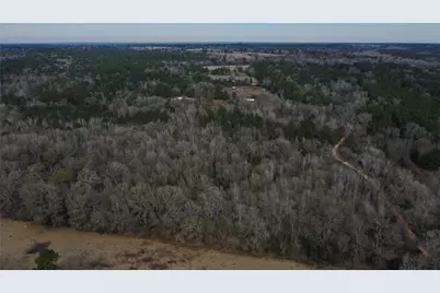 Tbdlot 2 County Road 2240, Grapeland, TX 75844 - Photo 9